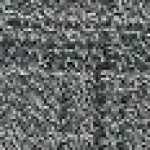 Gray Gray