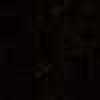 Black Black
