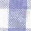 Saxe Blue/check