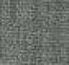 Gray Gray