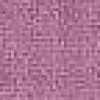 Lilac Lilac