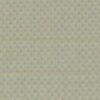 Light Gray Light Gray