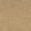 Beige Beige