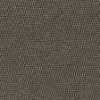 Dark Beige Dark Beige