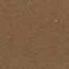 Walnut Walnut