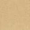 Beige Beige