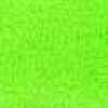 Fresh Green