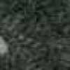 M Gray M Gray