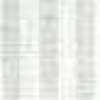 Light Gray Light Gray