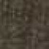 Dark Brown Dark Brown