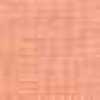 Coral Pink Coral Pink