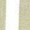 Beige Stripe Beige Stripe