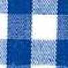 Blue Gingham Blue Gingham