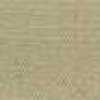 Beige Beige