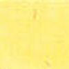 Canary Yellow Canary Yellow