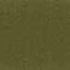 Olive Olive
