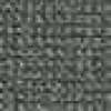 Gray Gray