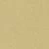 Camel Beige Camel Beige