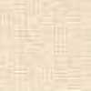 Pink Beige Pink Beige