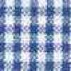 Gingham/Blue