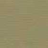 Light Beige Light Beige