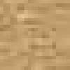 Camel Beige Camel Beige