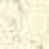 Flowers-Ivory Flowers-Ivory