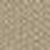 Camel Beige Camel Beige