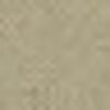 Beige Beige