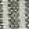 Gray Gray