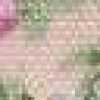 Medium Rose Pink