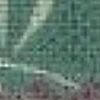 Dragonfly Blue-Green Dragonfly Blue-Green