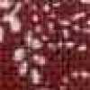 Botanical Pattern Red Botanical Pattern Red