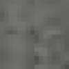 Light Gray Light Gray