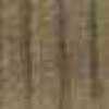 Beige Beige