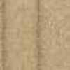 Beige Beige