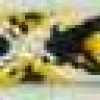 Yellow Yellow