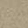 Light Brown Light Brown