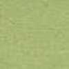 Light Green Light Green