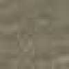 Beige Beige