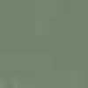 Olive Olive