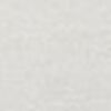 Light Gray Light Gray