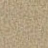 Beige Beige