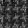 Gray Gray
