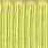 Lettuce Green Lettuce Green
