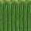 Green Green