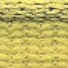 Mustard Yellow Mustard Yellow