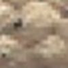 Sand Beige Sand Beige