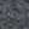 Gray Gray