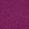 Peony Purple